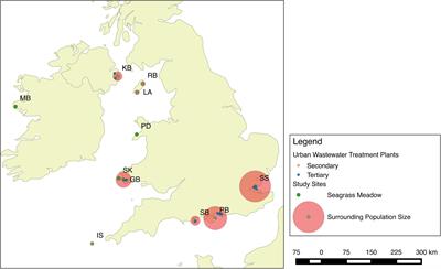 Tracking Nitrogen Source Using δ15N Reveals Human and Agricultural Drivers of Seagrass Degradation across the British Isles